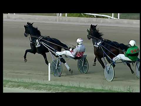 Napoli Trotto 15/10/2021 - 6ª corsa