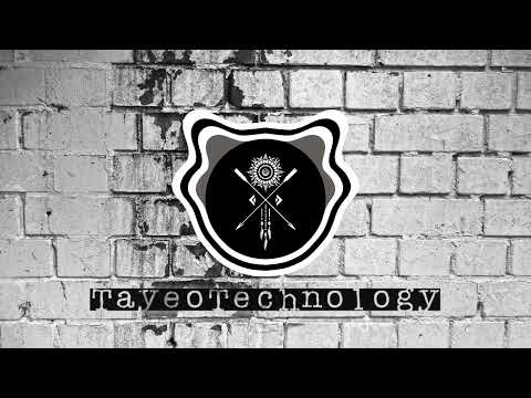 Time Traveler- TayeoTechnology