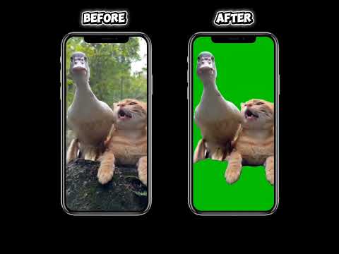 Cling: AI Video BG Remover