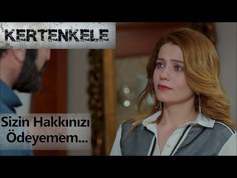 Sizin hakkınızı ödeyemem - Kertenkele