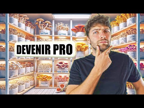 🍄 Devenir MYCICULTEUR PROFESSIONNEL en 5 ÉTAPES