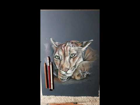  Proces   my pastels