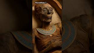 The Mummy of Ramses II 🏺 The Pharaoh Who Defied Time#pharaohflicks