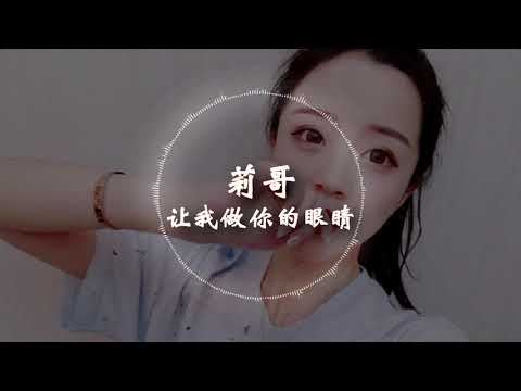 【抖音神曲】 莉哥 -《让我做你的眼睛》 动态歌词版本 【为你孤身逆苍天,我陪你笑看人世间...】