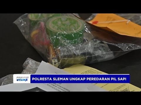 POLRESTA SLEMAN UNGKAP PEREDARAN PIL SAPI DI KAWASAN WISATA