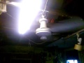 By Request Ceiling Fans