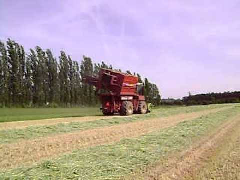 Dumortier - Heverlee