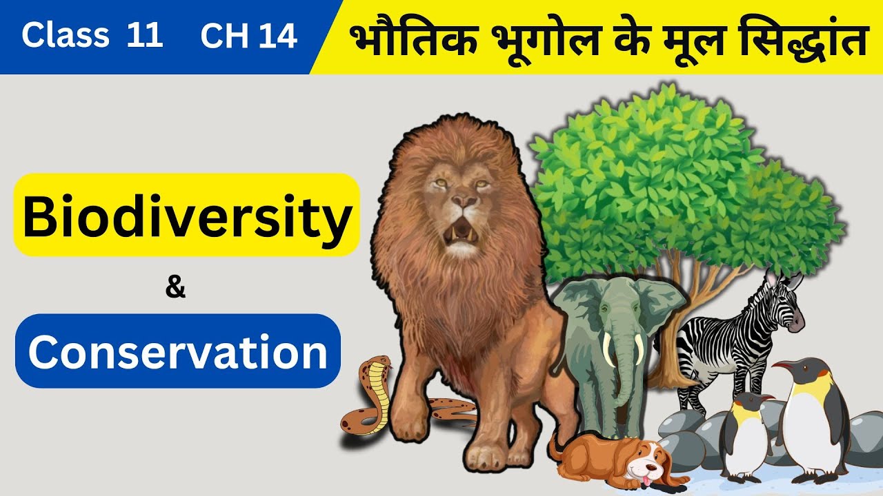 Biodiversity And Conservation | Class 11 Geography Chapter 14 | GEO abc |
