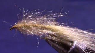 SimiSeal Golden Shiner