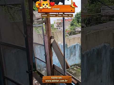 Vídeo de Cristal