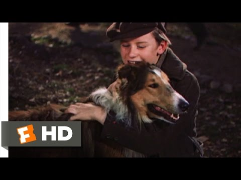 Lassie Come Home (1943) Trailer