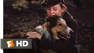 Lassie Come Home (10/10) Movie CLIP - My Lassie Come Home (1943) HD