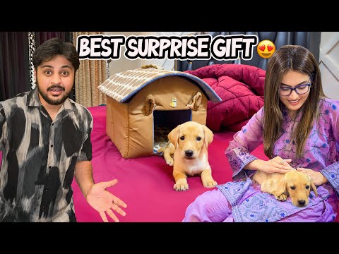 GHAR MAI NEW MEHMAAN AGYA 🥺🐶 | Iqra & Ghar Walon Ka Reaction 😍