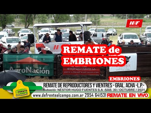 DE FRENTE AL CAMPO les acerca el REMATE de REPRODUCTORES y VIENTRES -SECCIÓN: EMBRIONES -