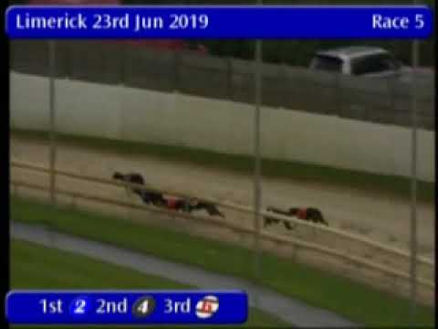 IGB - Simplex Sports And Social A3  23/06/2019 Race 5 - Limerick