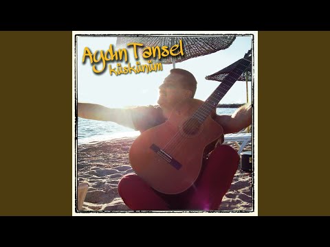 Dört Hecemsin "Seviyorum"