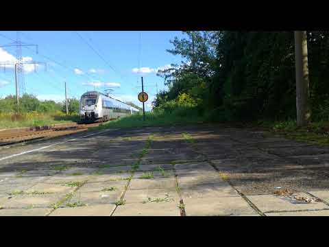 S5 nach Halle saale hbf