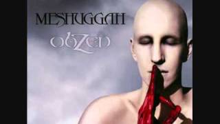 Meshuggah - This Spiteful Snake