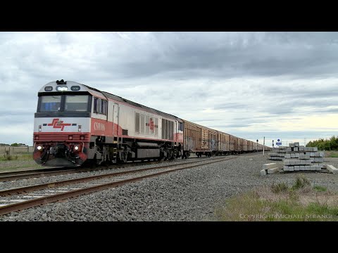 6PM9 SCT Freight Train With Solo CSR006 (10/8/2021) - PoathTV Australian  Railways
