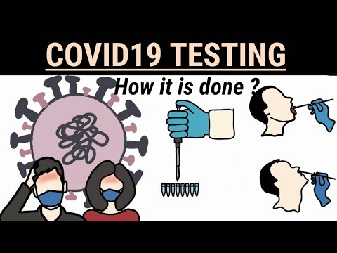 Coronavirus real time RT-PCR Test - Animation video