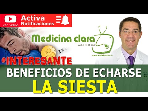 Beneficios De La Siesta Para Tu Salud