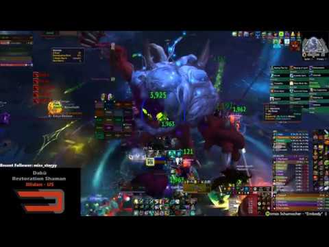 Narcosis Vs. Mythic G'huun [Resto Shaman PoV]