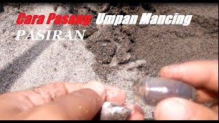 Download lagu Cara pasang umpan yutuk / undur - undur laut mancing pasiran ( sand flease ) mp3