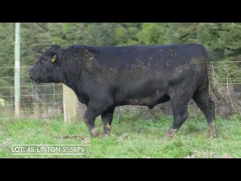 Lot 45  LINTON S558PV