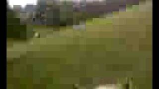 Running Through The Rain