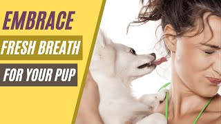 How To Get Rid Of Bad Breath In Dogs Naturally - Easy Herbal Remedies
