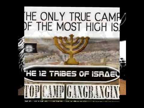 Chasing Unity - Ephraim The Truth, peezee, & SHOD JUDAH (REAL JUDAH)