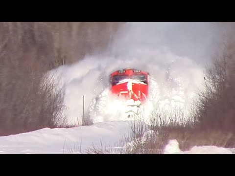 10 Moments You Wouldn't Believe if Not Filmed