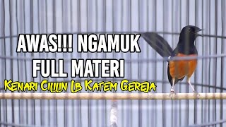 Download lagu Pancingan Pagi Hari MURAI BATU 100% SUKSES memancing lawan BONGKAR ISIAN Kenari Cililin Lb Katem mp3 Download lagu Pancingan Pagi Hari MURAI BATU 100% SUKSES memancing lawan BONGKAR ISIAN Kenari Cililin Lb Katem mp3