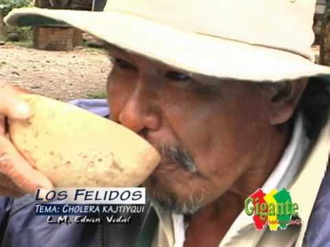 Lulla Cholitay - Los Felidos