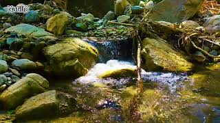 Download lagu 5 Menit Suara Gemercik Air Mengalir Tenang dan Jernih mp3