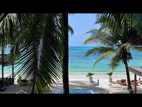 Mango Beach House, Zanzibar, Tanzania | Travel With Yogeshwari