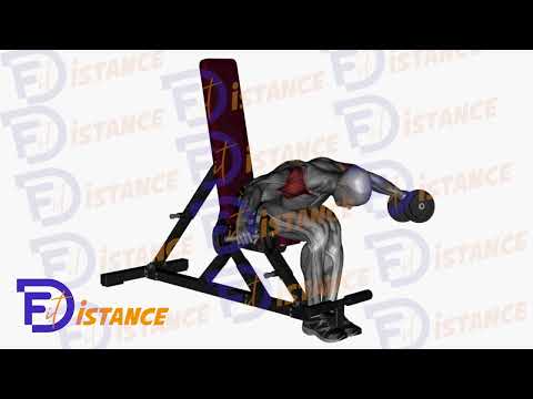 Exercice Élévation latérale arrière avec haltères en position assise