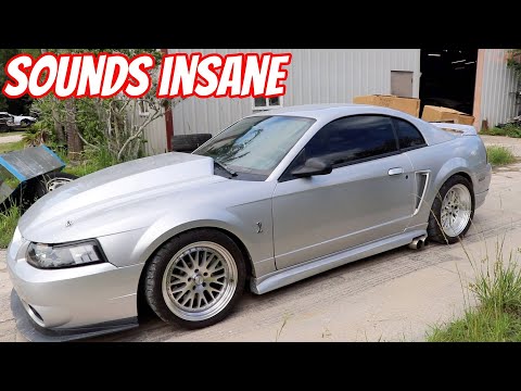 Borla XR1 Muffler Install and Sound Coyote Procharged