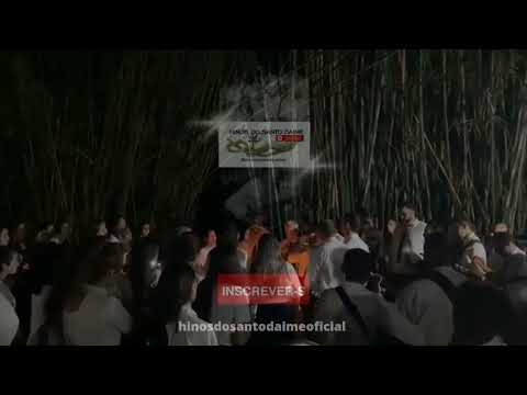 SAÚDE E FIRMEZA - Padrinho Valdete - Céu da Aliança Estelar/SP