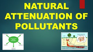 Natural Attenuation of environmental contaminants #Contaminants #Pollutants #Bioremediation