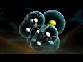 Organic Chemistry Animation
