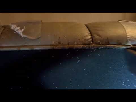 Eliminating the Bed Bugs in the Recliner in Freehold, NJ