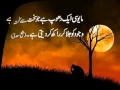 Beautiful Urdu Quotes | Picture Quotes | Beautiful Islamic Quotes In Urdu Images
