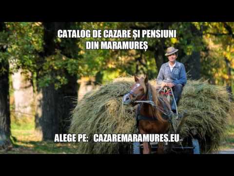 Cazare Danestii Chioarului, Pensiuni Danestii Chioarului - cazaremaramures.eu