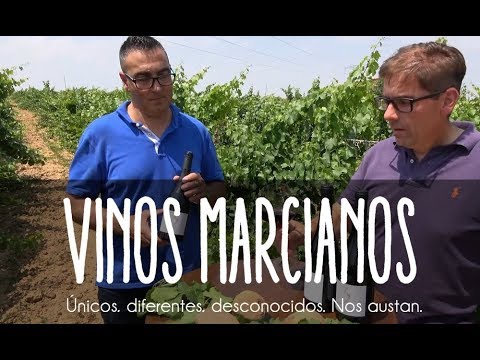 download lagu mp3 mp4 Prieto Picudo, download lagu Prieto Picudo gratis, unduh video klip Prieto Picudo