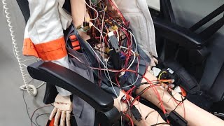お腹の電源系配線移植作業