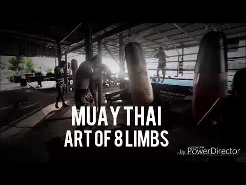 MUAY THAI MOTIVATION