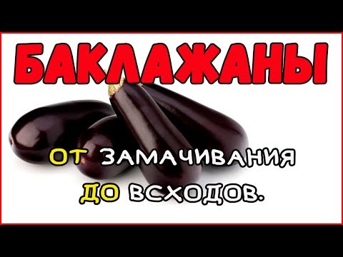 Посев Баклажан на РАССАДУ. Огород 2019. Жизнь в деревне.