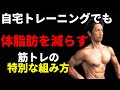 自宅トレーニングでも引き締め効果を出す「筋トレの特別なプログラムの組み方」家トレでも腹筋を割りたい?コレを試してみよう!体脂肪を減らすにはコツがある!