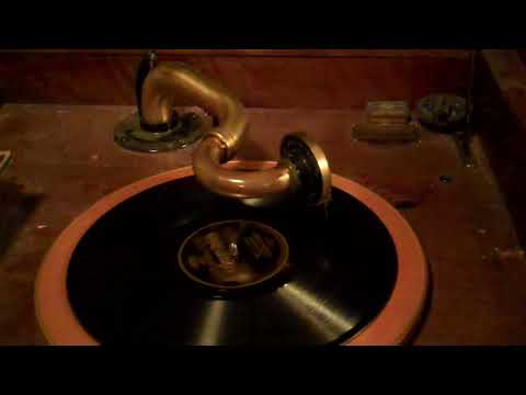 KNICKERBOCKERS  BEN SELVIN VIVA-TONAL - MARVELOUS - ROARING 20's VICTROLA 8-30